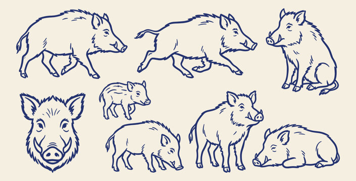Wild boar and piglet line art icons set showing various animal poses and head isolated on background