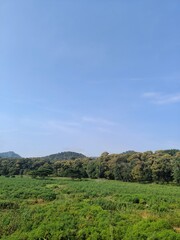 Obraz premium Majestic Greenery and Serene Landscapes of South India.
