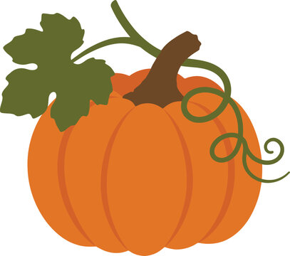 Autumn pumpkin vector illustration with green leaf and vine, orange fall squash icon, seasonal harvest vegetable for Thanksgiving and Halloween