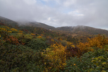 Clouds drifting over an autumn valley of colorful foliage in Hakkoda Aomori © foto
