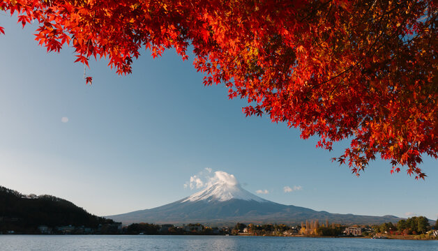 Peaceful view of Kawaguchiko lake during serene autumn day in Japan with vibrant foliage brings calm feeling to beautiful landscape