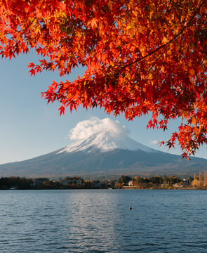Beautiful kawaguchiko lake scenery with autumn leaves in Japan showing peaceful autumn mood and inspiring serene travel atmosphere