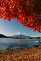Peaceful kawaguchiko lake landscape with vibrant autumn foliage in japan providing feeling of awe...