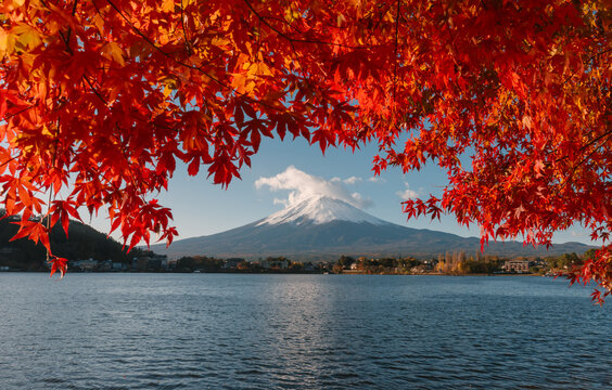 Beautiful peaceful scenery of kawaguchiko lake in autumn japan autumn season shows tranquil landscape with vibrant red maple leaf foliage