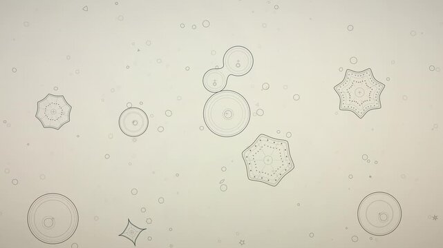 Abstract microscopic organisms dividing and separating in a fluid environment, geometric cells, planktons and diatoms, loopable background animation