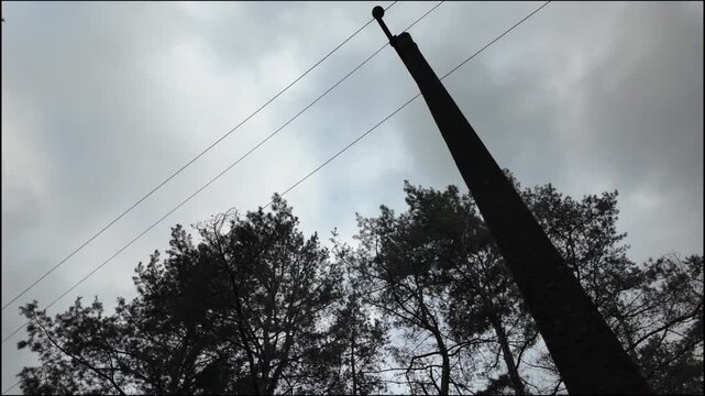 Low angle view of concrete electrical power poles with wires and insulators standing among tall dark pine trees. The background features a gloomy, overcast grey sky in a moody rural forest scene.