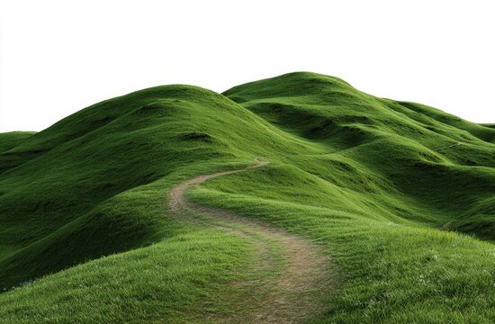 Lush green hills with winding path