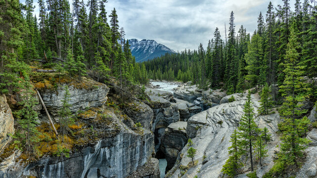 View of Mistaya Canyon with its deep rocky gorge and glacial river flowing through a dense pine forest under a cloudy sky in Improvement District No. 9, Alberta, Canada.