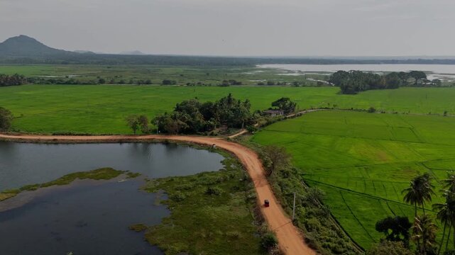 Cinematic aerial drone shot flying forward and descending tracking a red tuk tuk driving on a dirt road by green rice fields in Tissamaharama Sri Lanka