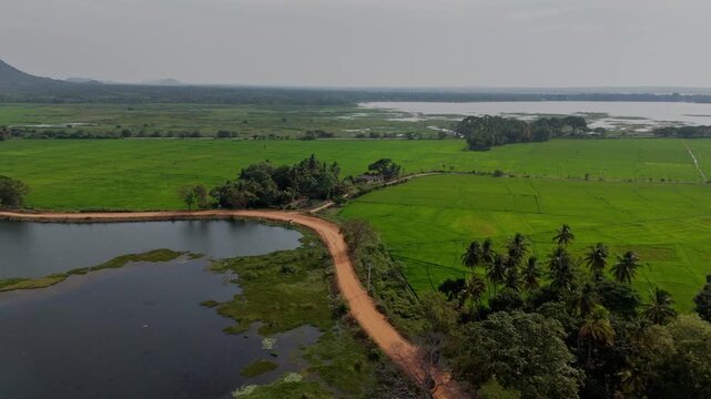 Cinematic aerial drone shot flying forward tracking a red tuk tuk driving on a dirt road between a lake and green fields in Tissamaharama Sri Lanka