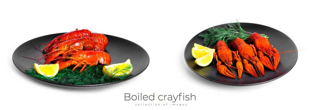 Boiled crayfish with dill and lemon isolated on a white background.