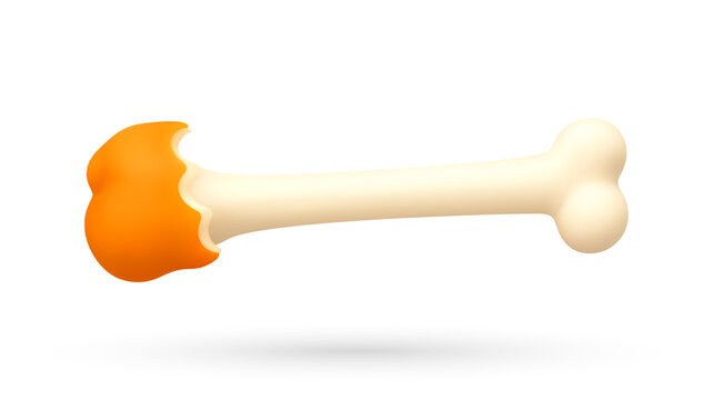 3d illustration of chicken bone with meat on one end. Realistic cartoon render of treat on white background with shadow. Pet care, animal nutrition and veterinary concept for design.