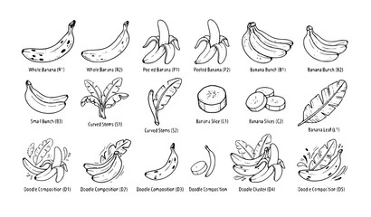 Obraz premium Botanical Banana Doodle Engraving Vector Element Pack