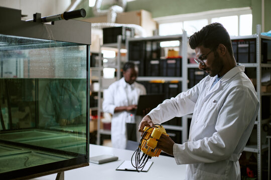Young Indian male engineer examining underwater robot near water tank in laboratory with African American colleague. Ideal for marine robotics technology campaigns