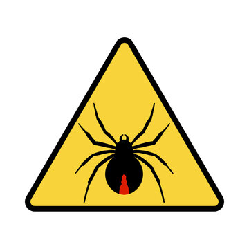 Redback Spider Warning Sign Icon