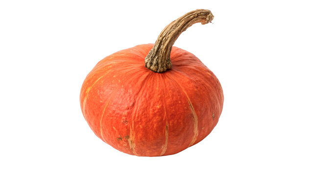 Whole fresh sweet organic small round orange pumpkin isolated on transparent background.