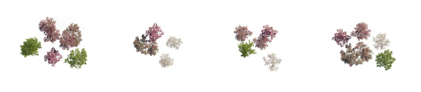 top view tree cluster pink flowering malus trees and green trees group without shadows (crabapple, flowering apple) isolated PNG on a transparent background premium nature cutout