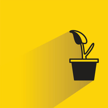 tree houseplant pot icon with shadow yellow background