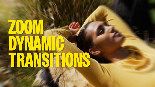 Zoom Dynamic Transitions