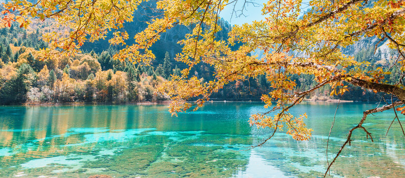 Scenery Jiuzhaigou national park in Sichuan, China. Beautiful Five Flower Lake in Autumn season. Famous Landmark and Vacation near Chengdu, China. Asia travel concept
