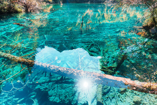 Scenery Jiuzhaigou national park in Sichuan, China. Beautiful clear water of Five Flower Lake in Autumn season. Famous Landmark and Vacation near Chengdu, China. Asia travel concept
