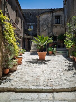 Sunlit internal courtyard with cobblestone paving, potted Sago palm, and stone steps in Erice, Sicily, Italy.