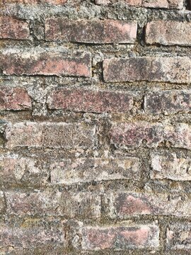 Ancient Majapahit Red Brick Wall Texture with Moss and Erosion