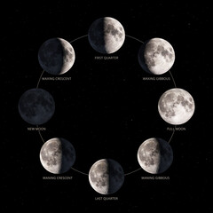 Moon Phases Diagram Showing Complete Lunar Cycle from New Moon to Full Moon Astronomy Chart © MangoArt