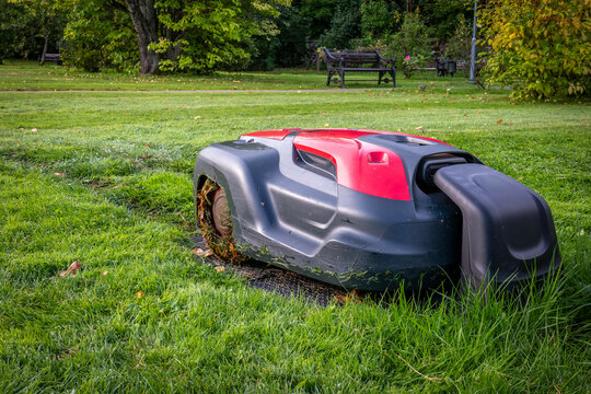 Robotic Lawn Mower Charging at a Station in a Green Garden