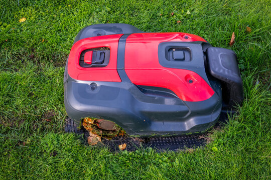 Robotic Lawn Mower Charging at a Garden Docking Station