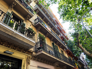 Sunlit residential balconies and ornate building facade in Barcelona, Spain with wrought iron railings, potted plants and leafy street trees © AS Photo Family