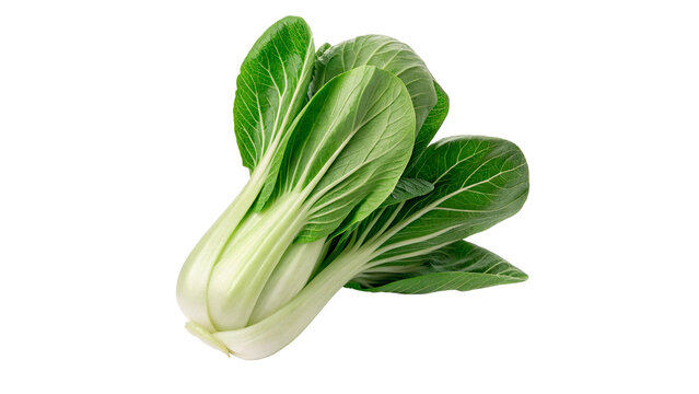 Bunch of fresh organic green bok choy cabbage isolated on transparent background.