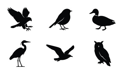 Fototapeta premium Diverse Bird Silhouettes Collection: Ornithology Icons for Nature and Wildlife Designs