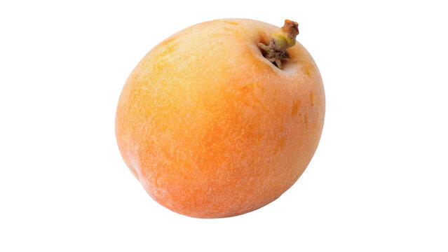 Whole fresh ripe organic exotic medlar fruit nespola isolated on transparent background.