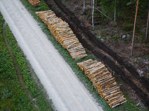 Aerial view of stacked timber logs along a gravel forestry road in a woodland area in Rinda, Ventspils novads, Latvia.