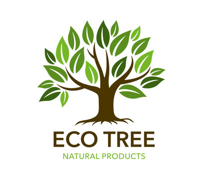 Park garden and forest tree plant icon, environment symbol. Environmental emblem of sustainability, growth and environmental care. Green tree label for eco business, organic store and conservation