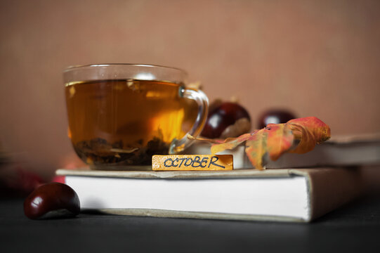 Cozy seasonal still life with hot tea, books and natural autumn decor