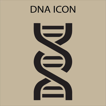 Single DNA double helix strand icon genetic code biology research symbol isolated vector