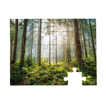 Forest landscape jigsaw puzzle with one missing piece and sunbeams through tall pine trees