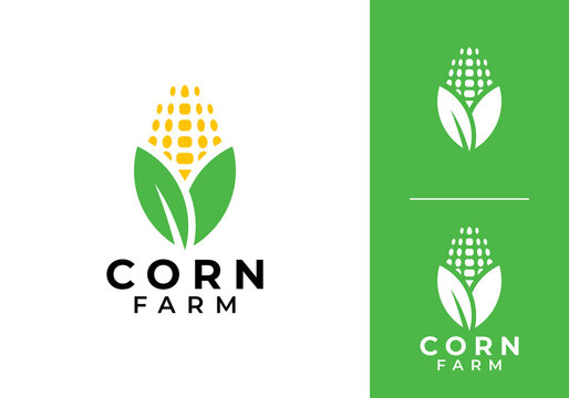 simple creative wheat and corn agriculture logo design vector