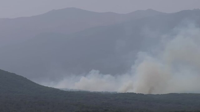 167mm drone footage focused on the origin of a massive smoke plume rising from a renewed wildfire in the burned forest of the Ti&eacute;tar Valley.