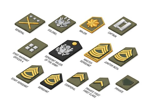 Military rank insignia collection