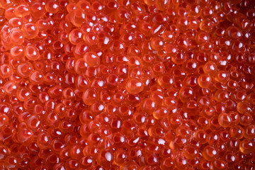 Obraz premium Close-Up of Fresh Salmon Caviar (Ikura) with Vibrant Orange Pearls and Glossy Texture, Premium Japanese Seafood