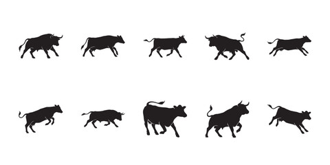 Fototapeta premium Brown swiss cattle walking vectors. Herd of standing and moving dairy cows or bulls in flat black style for farming background design.