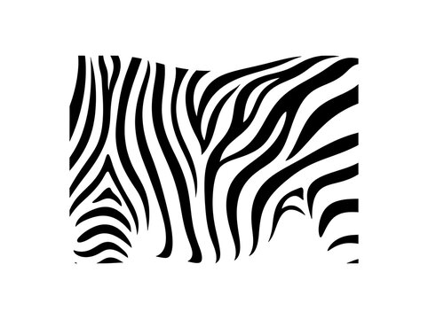 Zebra stripe pattern abstract background