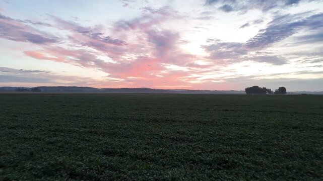 A drone holds a steady aerial position over a lush green farm field while a dramatic pink and purple sunset spreads across the sky above distant rolling hills and a faint tree line.