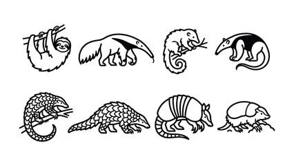 Fototapeta premium Diverse Animal Line Art Collection: A curated set of unique line art illustrations featuring a variety of unusual animals, including a sloth, anteater, chameleon, pangolin, and armadillo.