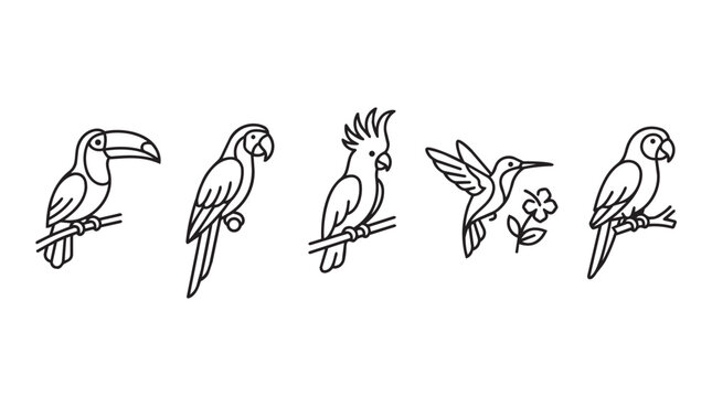 Minimalist tropical bird line art icons set, 5 black and white exotic bird vector illustrations, toucan parrot cockatoo and hummingbird coloring elements