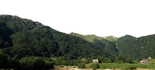 Green Alpine Mountain Valley with Houses and Pine Forest Cutout isolated on transparent background. PNG file. © Maria
