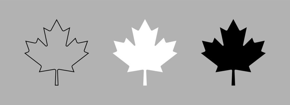 Canada flat symbol maple leaf black, white, black contour outline button samples. Maple leaf layout. Maple leaf silhouette icons. Maple leaf badge, sticker.